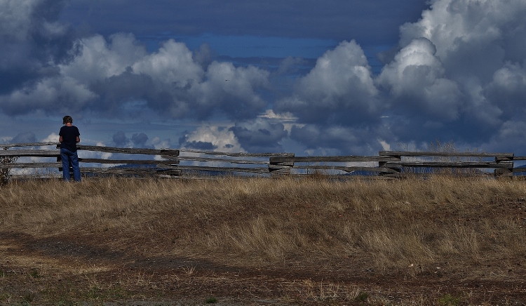 woman at fence